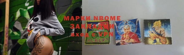 индика Горнозаводск