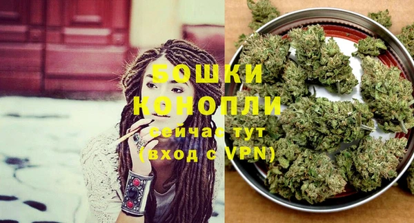 индика Горнозаводск