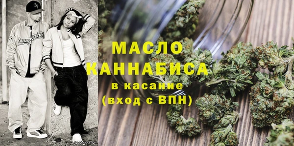 крисы Слюдянка