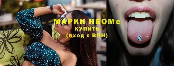 индика Горнозаводск