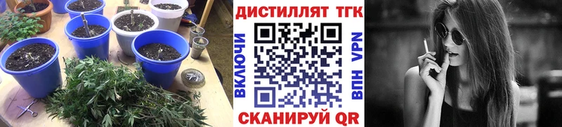 купить  цена  Заволжск  маркетплейс наркотические препараты  Дистиллят ТГК концентрат 