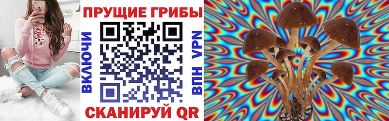 что такое наркотик  Заволжск  Псилоцибиновые грибы Psilocybine cubensis 
